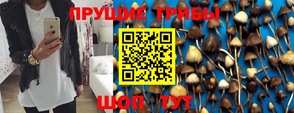 Псилоцибиновые грибы прущие грибы Воскресенск